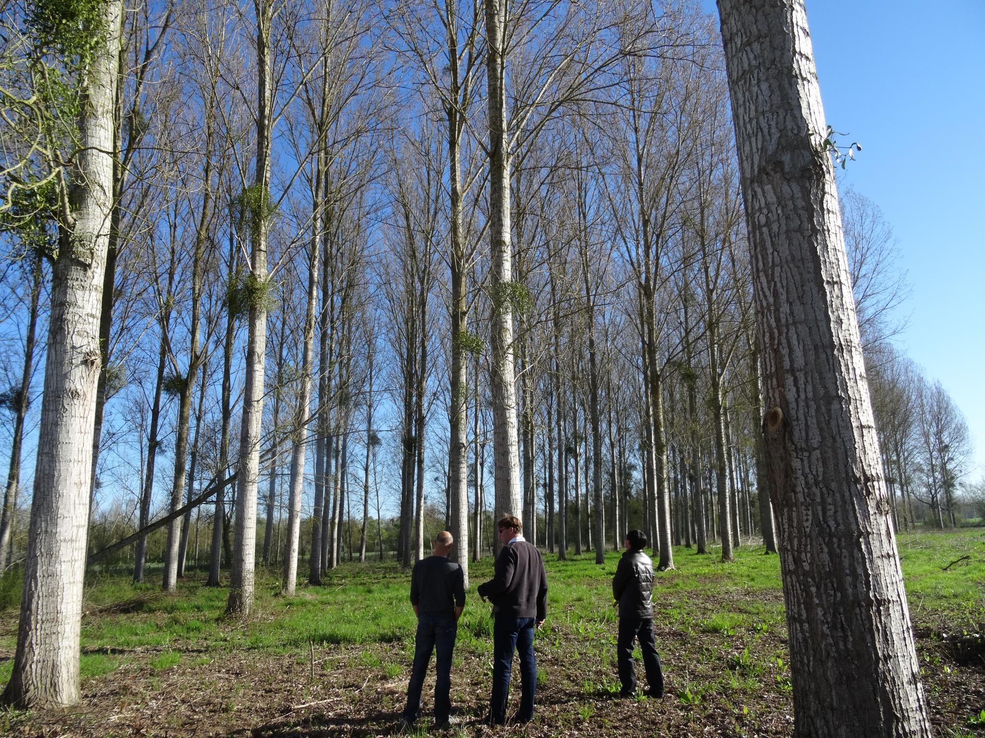 深入我司簽約林場考察